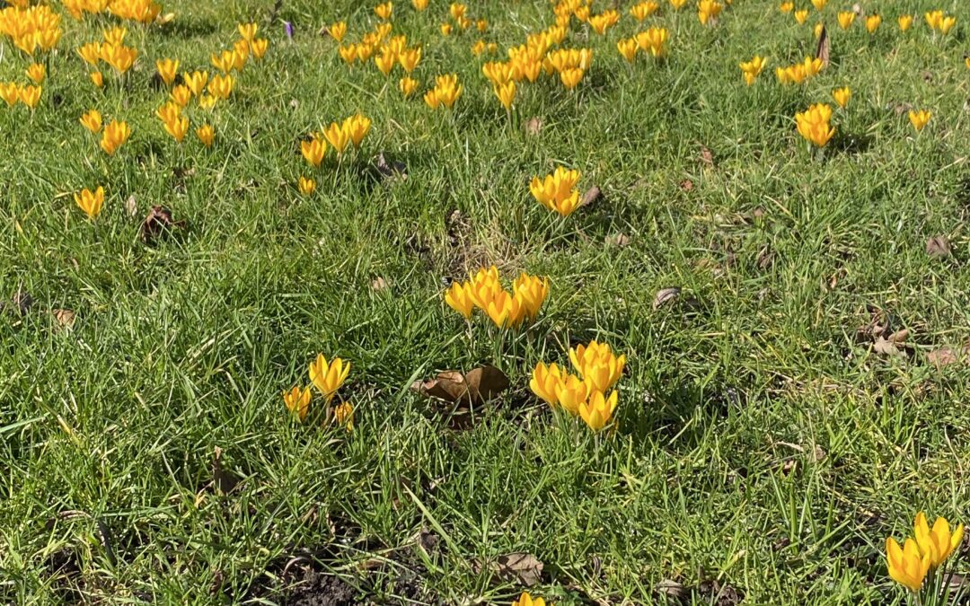 Maart! Lente opruiming, ook in je hoofd